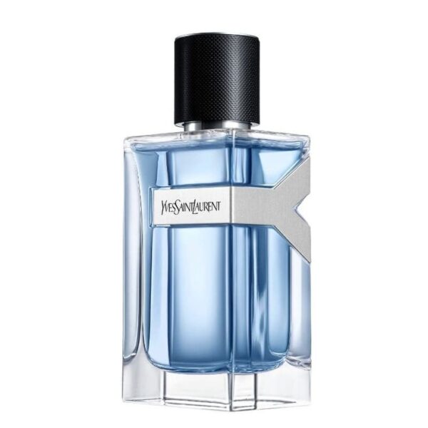 Ysl Y EDT