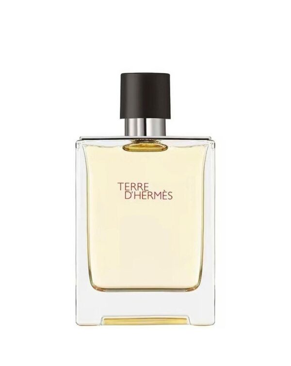 Terre d' Hermes EDT